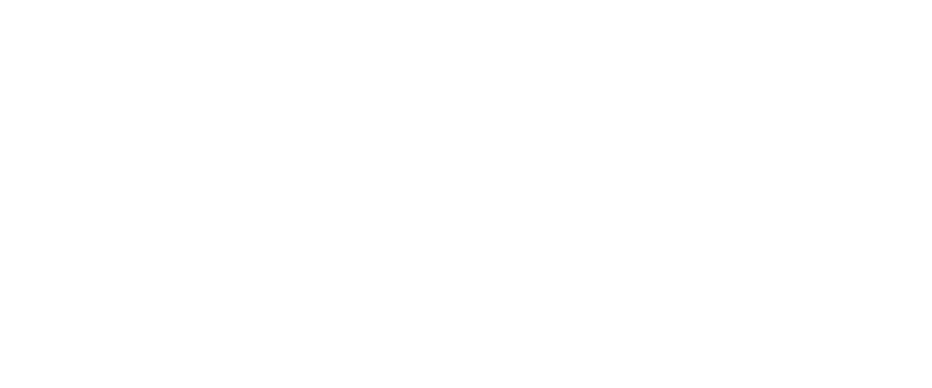 Dark Zone Studios